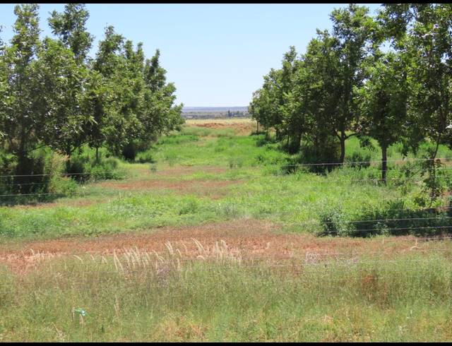 213HA FARM FOR SALE IN HOPETOWN RURAL